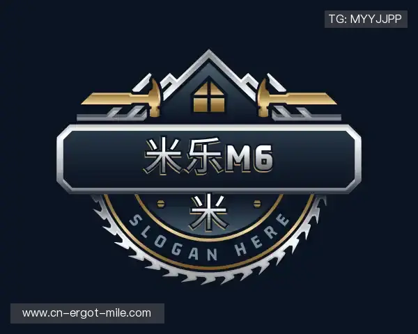 解读米乐M6